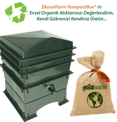 EkosolFarm KompostBox